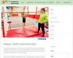 Dreigiau'r Dyffryn Gymnastics Club
